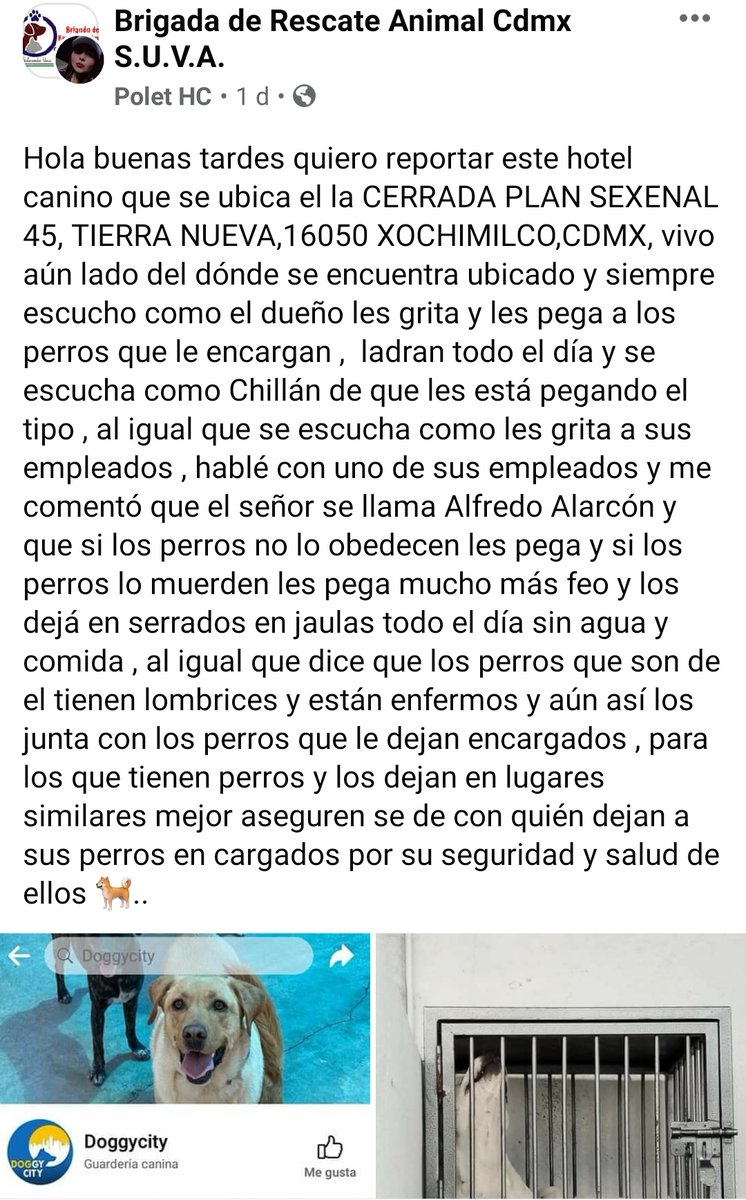 🅿🅴🆁🆁🅾🆂🅾🆂🅼🆇 tweet media