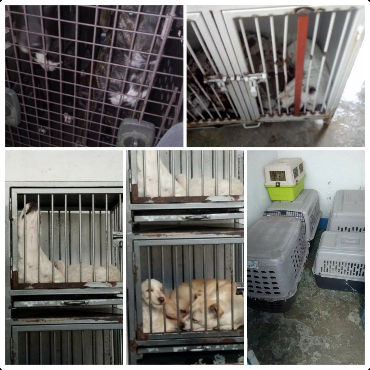 🅿🅴🆁🆁🅾🆂🅾🆂🅼🆇 tweet media