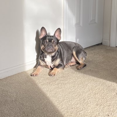 teebird95's tweet image. #NewProfilePic