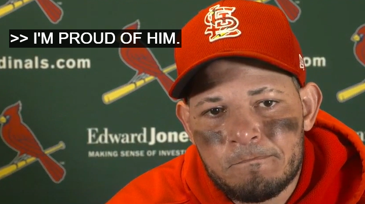 cardinalsgifs's tweet photo. https://t.co/WD969tef8p