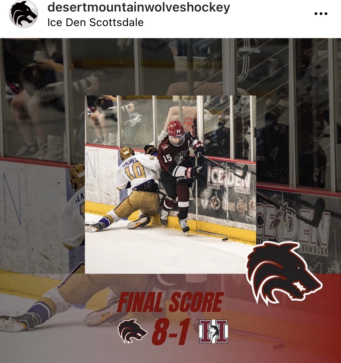 Desert Mountain Wolves Hockey tweet media