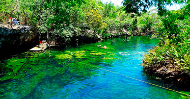 DeepMexico1's tweet image. The PADI Enriched Air Diver course is PADI’s most popular specialty scuba course. Why? Because scuba diving with enriched air nitrox gives you more no decompression time, especially on repetitive scuba dives.

Web : deepmexico.com
Email by : info@deepmexico.com