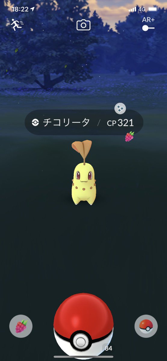ট ইট র はづたん 家の近くで少しポケモンgoをしていたら 色違いのチコリータに出会いました チコリータ自体中々出てこないから出てきた時は嬉しかったのに 色違いでテンションが爆上げに ポケモンgo 色違いポケモン チコリータ ট ইট র はづたん 家の近くで少しポケモンgoをしていたら 色違いのチコリータに出会いました チコリータ自体中々出てこないから出てきた時は嬉しかったのに 色違いでテンションが爆上げに ポケモンgo 色違いポケモン チコリータ