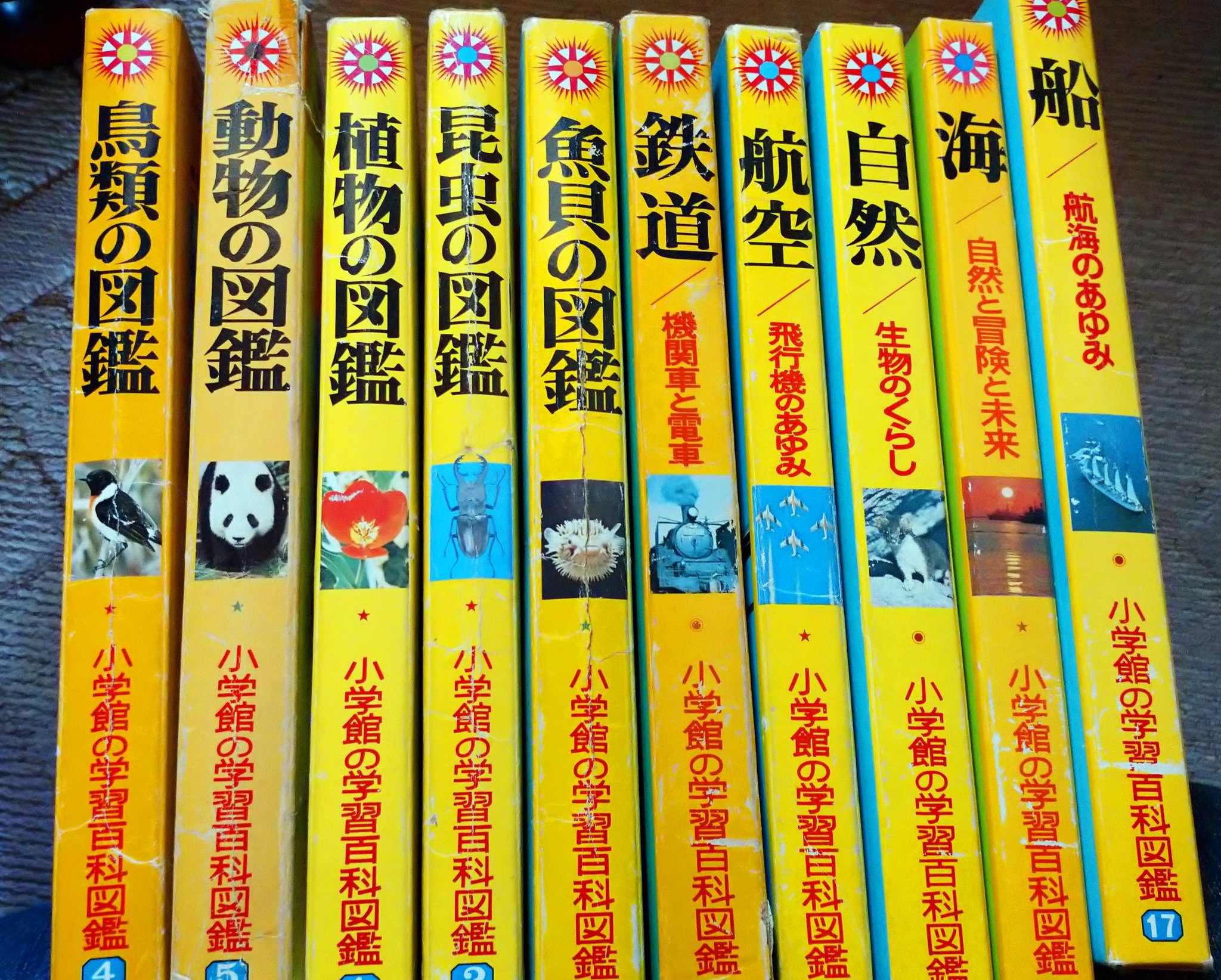 小学館の学習百科図鑑 鳥類の図鑑 カスケディアン 小学館の学習百科図鑑 鳥類の図鑑 カスケディアン