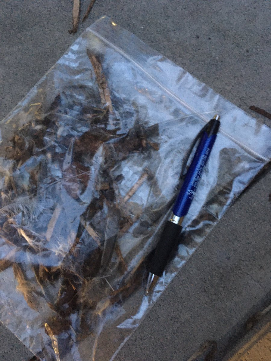CalgaryResponse's tweet image. Tonight just signs of the birds that once were. 

We have lots of work to do. 

#WindowStrike #YYC #Calgary 

PS. You probably don’t want to borrow my pen.  
PPS. First bag does have wood chips. Sometimes they  get in the mix.