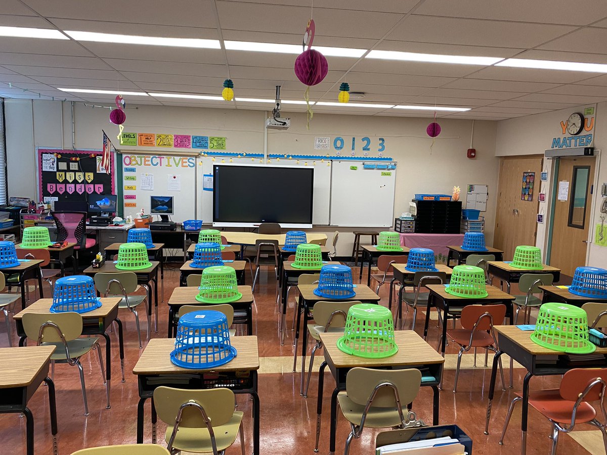 _Sara_Bender's tweet photo. What a great first “week” back at school! I’m excited to work with my new co teacher and for the fun year ahead with our fifth graders! We are all loving our tropical classroom community.🍍🦩🌴🌺 #teachnb #5thgrade https://t.co/NBd0Ivum7G