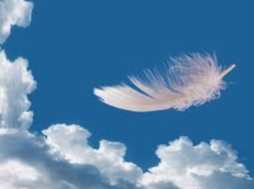 antocoppola60's tweet image. Prendete la vita con leggerezza,
Che leggerezza non è
Superficialità,
Ma planare sulle cose dall'alto,
Senza macigni sul cuore ❤.
I. C.
#BuongiornoATutti
#UnTornadoDiEmozioni 🌹🎶