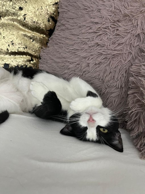 My diva #wink queen 👑 Mimitchky👑   😂 https://t.co/kFGCrohQ0z<a href="/tag/wink"class="tags">#wink</a>