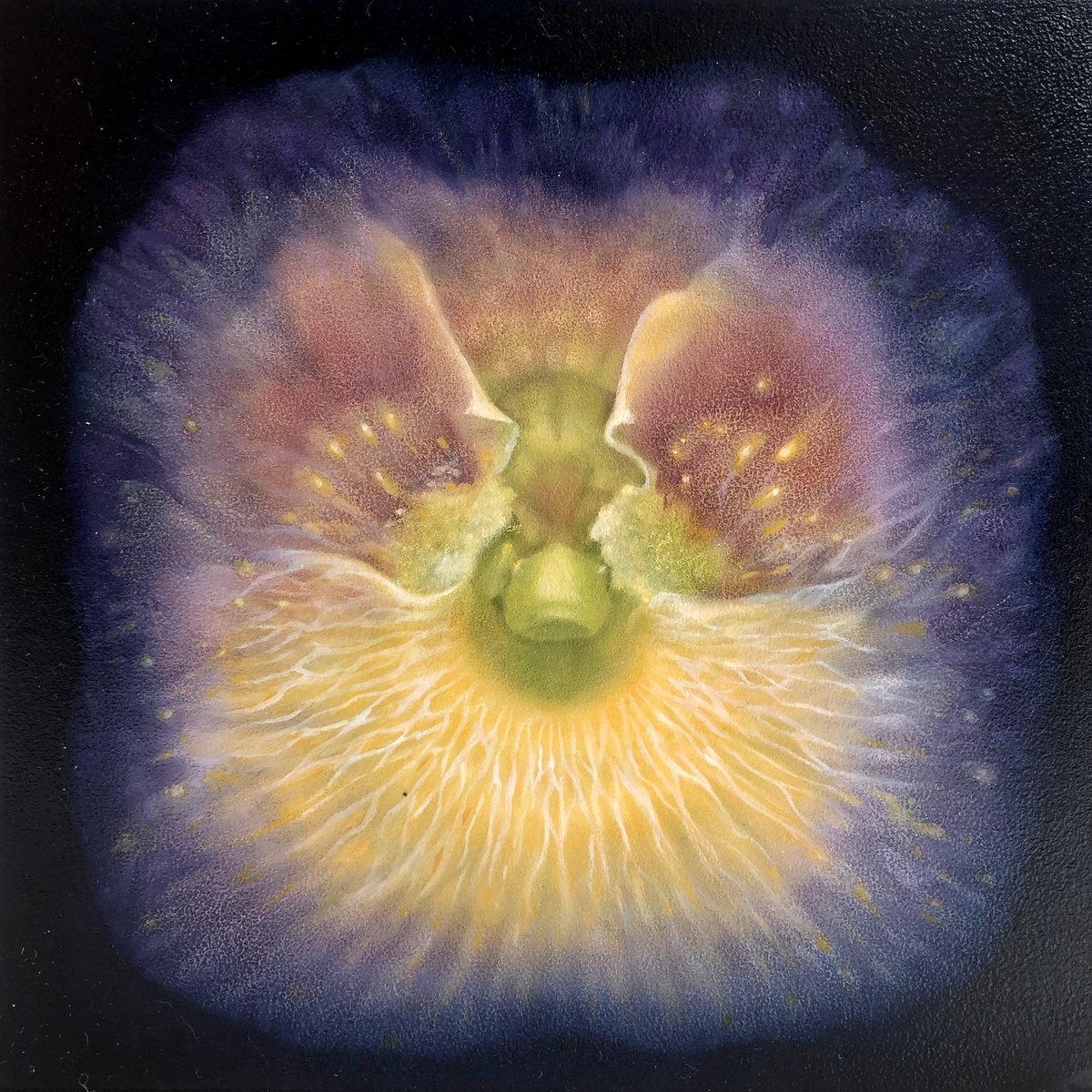 Zomerexpositie Groots in ‘t Klein | t/m 11 september 2021
 
Foto: Froukje Torensma-Stol
Techniek Olieverf op paneel | € 225 per stuk.
 
Bekijk ze allemaal op buff.ly/2VKOL4X.
 
#baxkunst #kunst #galerie #sneek #grootsintklein #GIK #kleinekunst #grootsekunst #kleinformaat