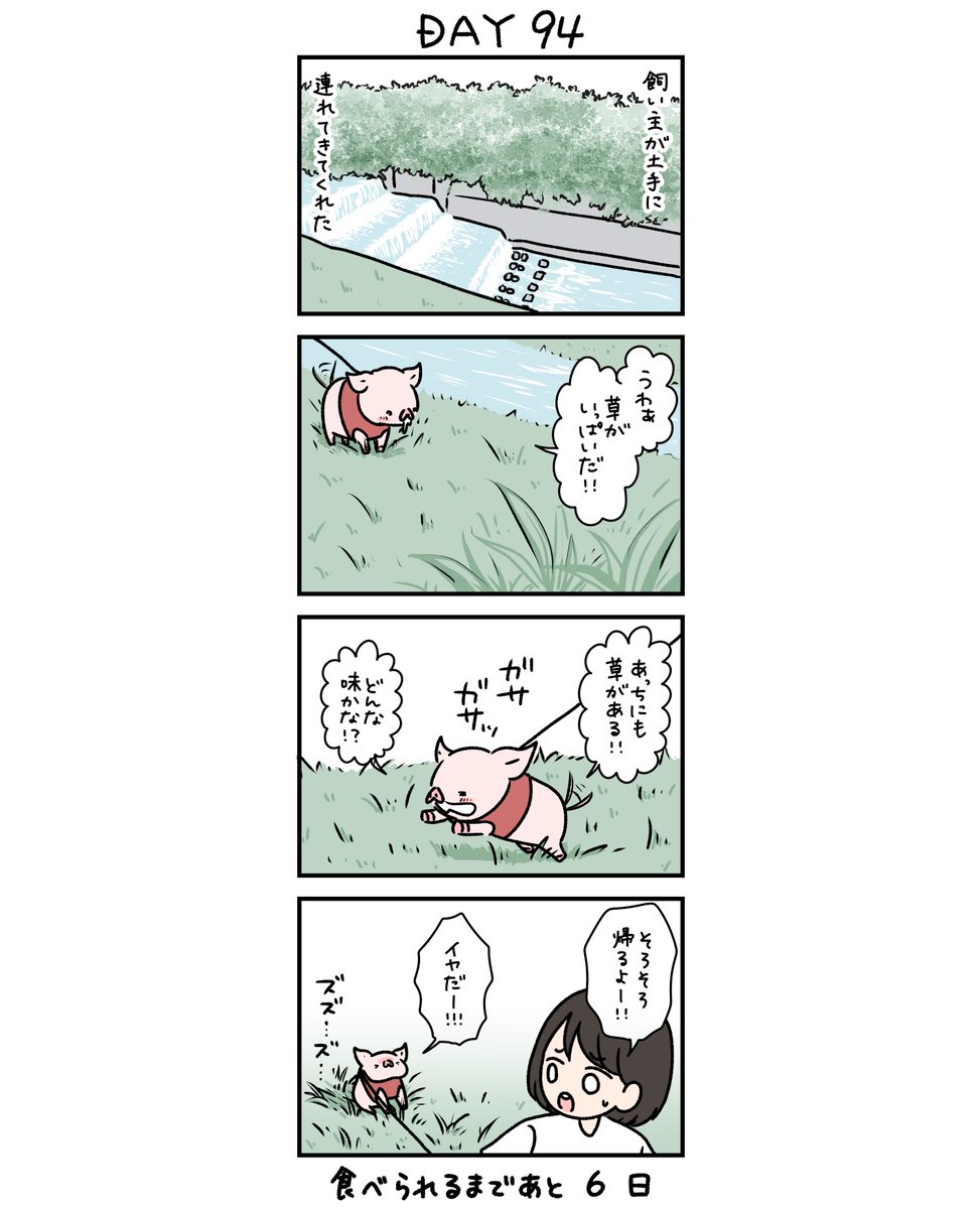 Mini_pig99's tweet photo. 100日後に食われるブタ 94日目🐷 https://t.co/Cdn8tD6mTD