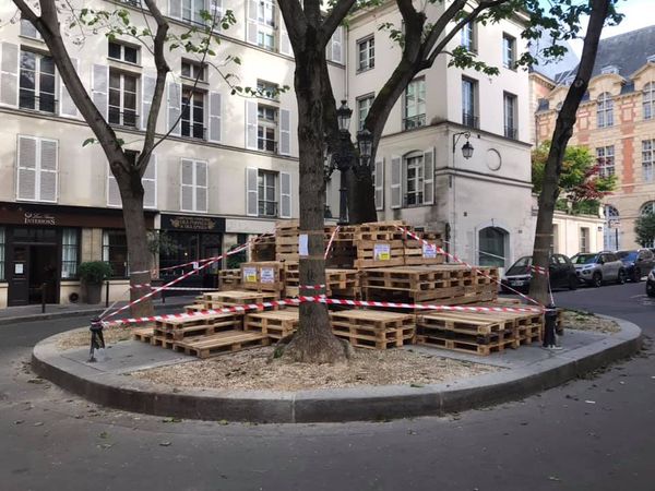ju_drdn's tweet photo. @22MDOLIVIER23 @Brayaard @catheri93011473 On en fait même des œuvres d'art ici.....🤢
#saccageparis https://t.co/qcOchmeScB