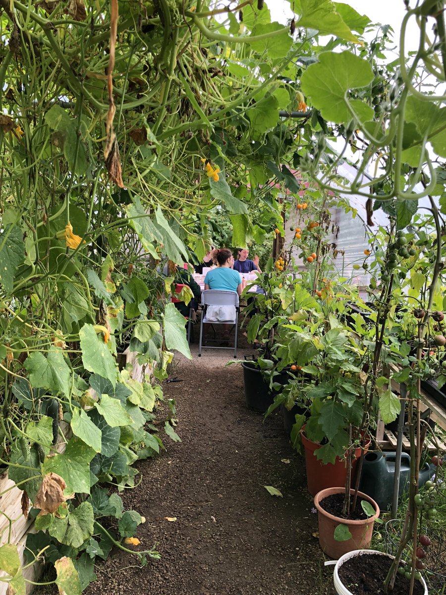 andrewbartsch's tweet photo. Pleasure to be back at @BandstandBeds - Harvesting a bounty of summer veg and sampling chutneys and jams made from garden produce. https://t.co/hx2JnLd6Dr