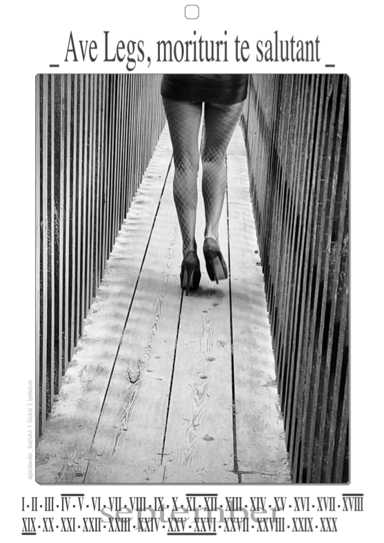 legsinthecity_'s tweet photo. https://t.co/vvLNaWrPBA 👠 CALENDAR∙IUM | SEPTEMBER - Adagium Latinus Editio : "Ave Legs Morituri Te Salutant" #Adagium #Artwork #Calendar #Calendarium #Edition #Genevensis #HappyLegsYear #Heels #KreativLab #Latinus #Legs #Photo #Photography #Pirelli #Shoes #LegsAhead #September https://t.co/t4zxAeP2ds