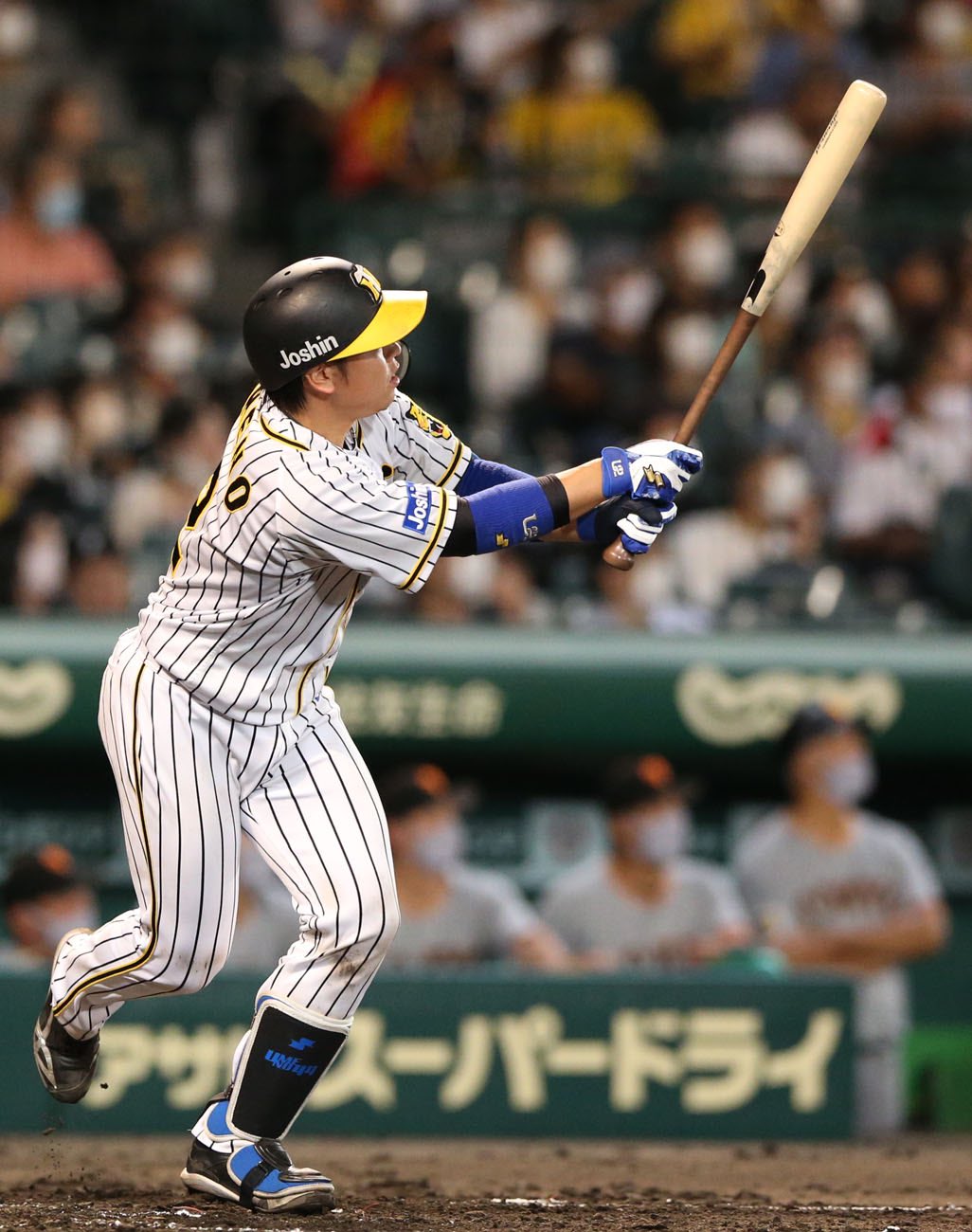 阪神タイガース 梅野隆太郎 ポストカード - スポーツ選手