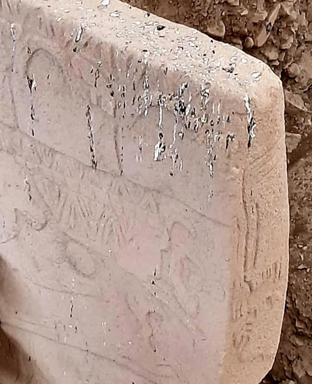 Göbeklitepe’ye kuşlar pisliyor. Arabanın boyasına bile zarar veren asidik kuş dışkısı, dünya mirasımıza ve hala anlaşılmayı bekleyen sembollere zarar vermeyecek mi? Bunu engellemenin bilimsel bir yöntemi muhakkak olmalı.
 #tckültürbakanlığı #müzelermüdürlüğü #arkeolojihaber #urfa