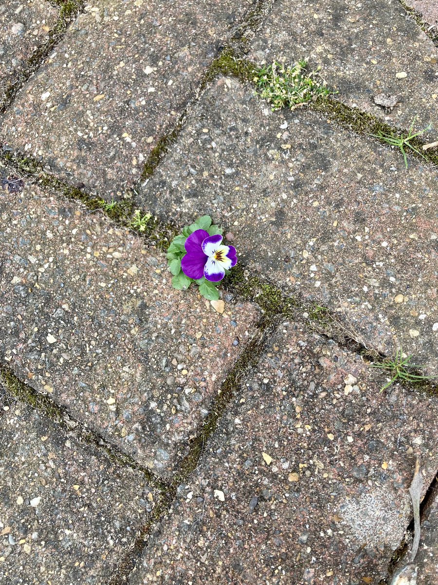 So powerful, strong, determined, beautiful, anything is possible just believe ❤️