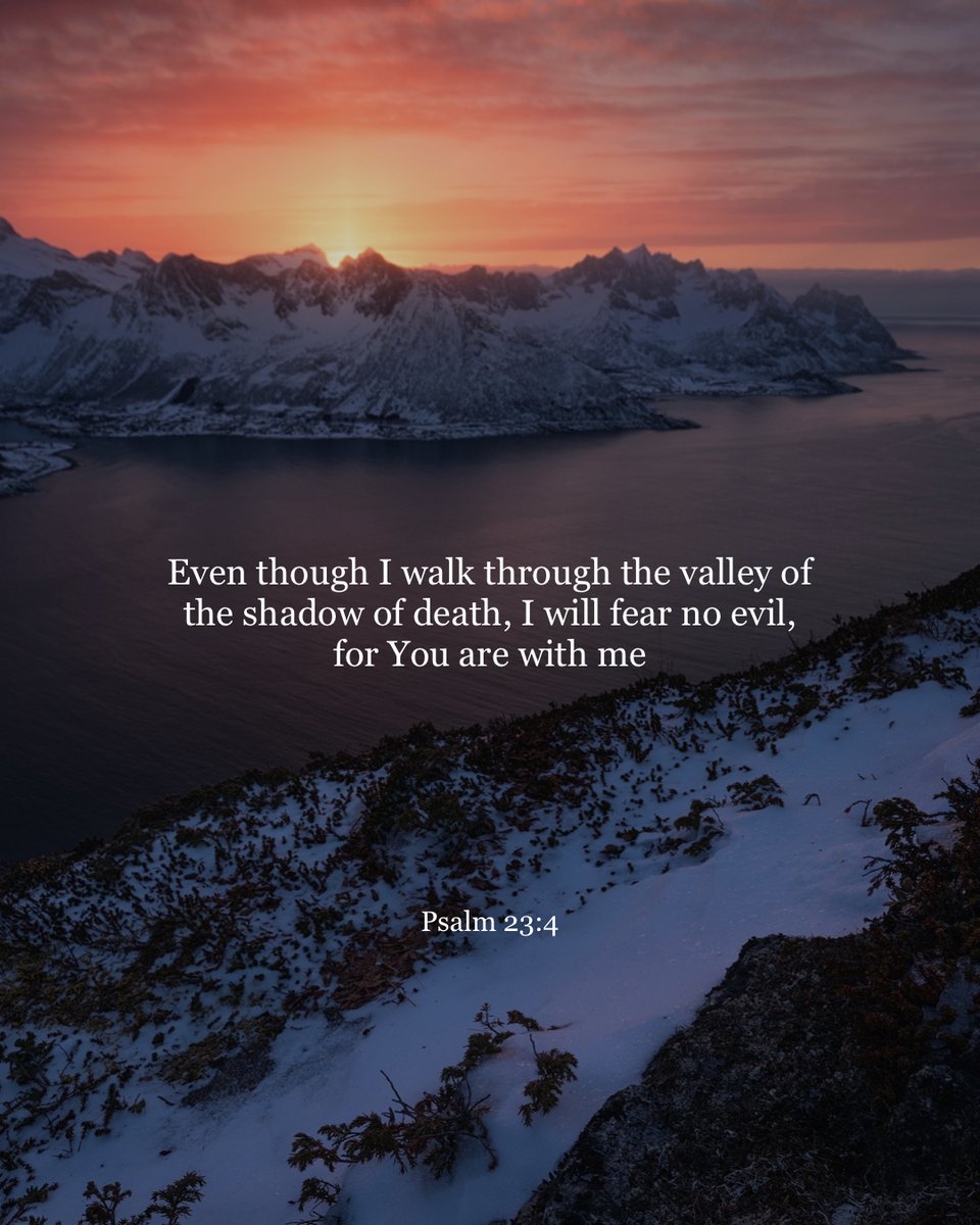 YouVersion tweet picture