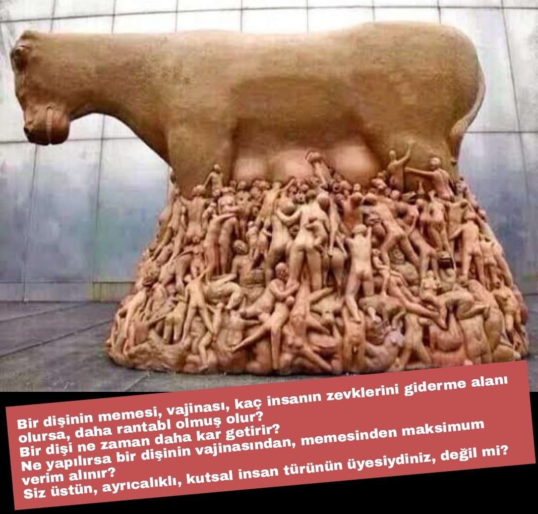 Vegan Uyanış (@veganuyanis) on Twitter photo 