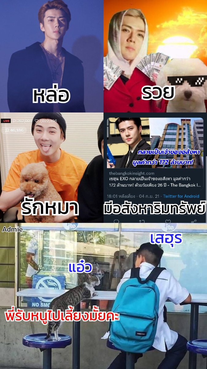 thamraydekdaw_'s tweet image. หน้าที่เฝ้าบ้านเดี๋ยวเราจัดการให้เอง