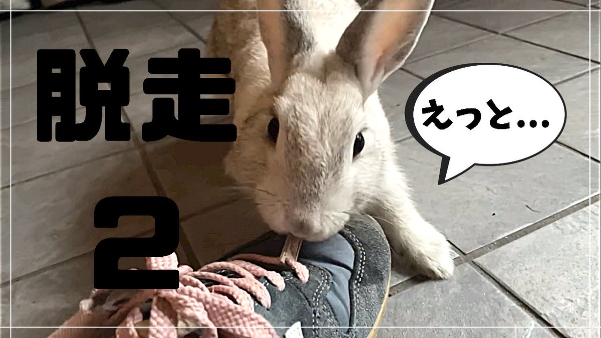 柵 Twitter Search Twitter