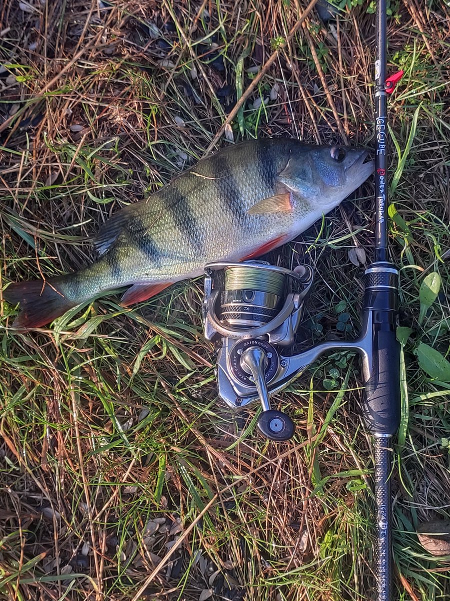 Перший кавун 😜✌️🍈