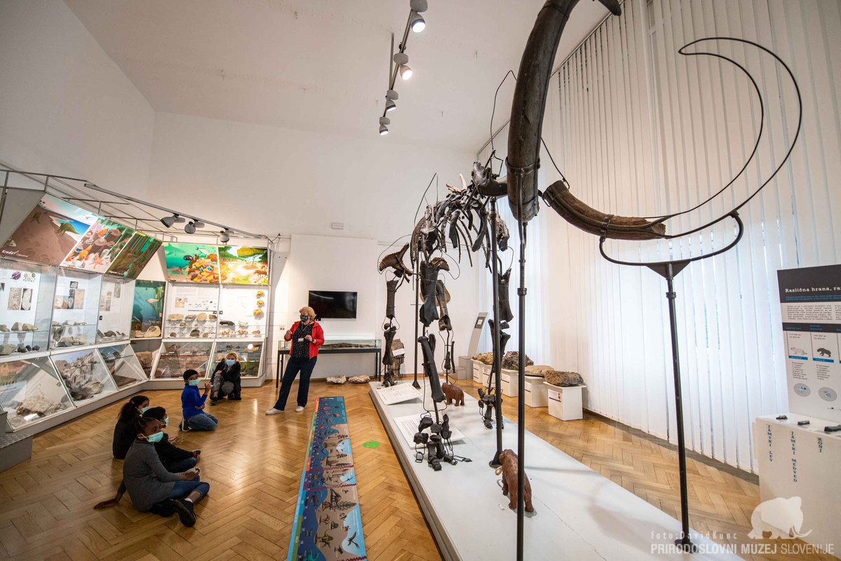 Nedelja, 5.9.2021, PROST VSTOP od 10. do 18. ure.