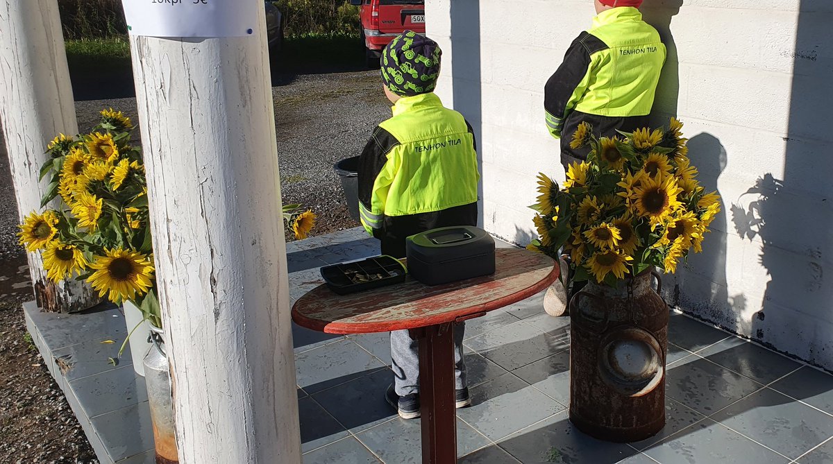 juhaten's tweet photo. Itselläni ensimmäinen bisnes oli auringonkukkien myynti Porin torilla joskus n.30v sitten. Perinne jatkuu kun nyt pojat myy auringonkukkia kerätäkseen rahaa uusiin skuutteihin #perinne #yrittäjä #kauppaseonmikäkannattaa https://t.co/mlh2x9Ei4q