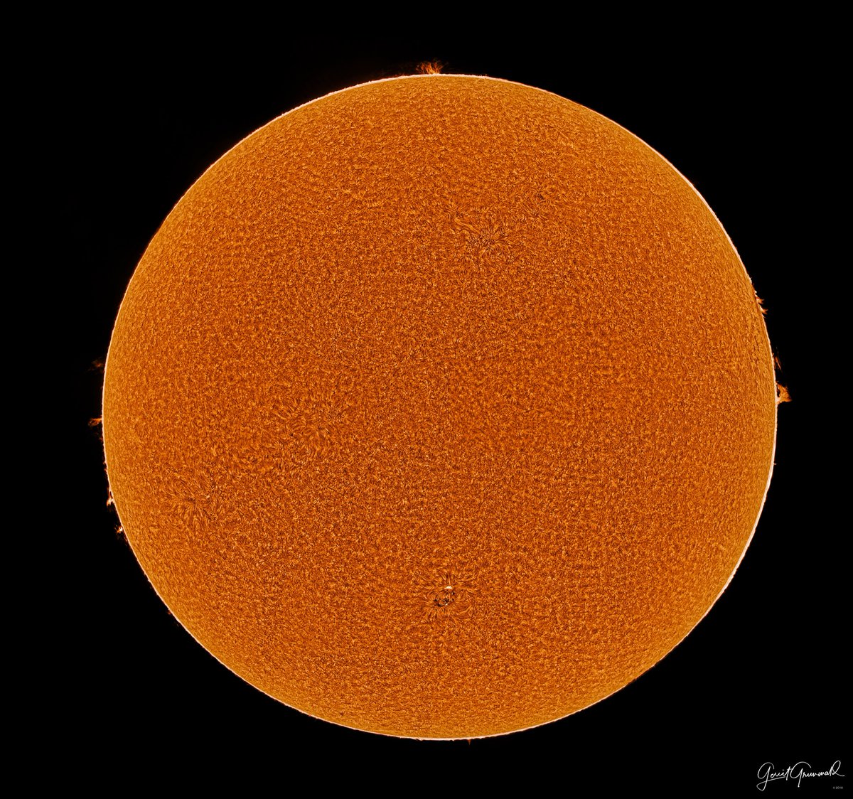 hansolo_'s tweet photo. It was a long night with lots of coffee but now here is the final shot… #solar #solarimaging #photography #astro #h-alpha #fulldisc #sun https://t.co/4k404TWyR1