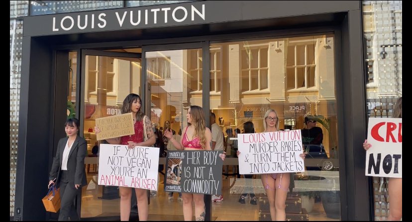 Phoebe Murray on X: A third animal cruelty protest has popped up