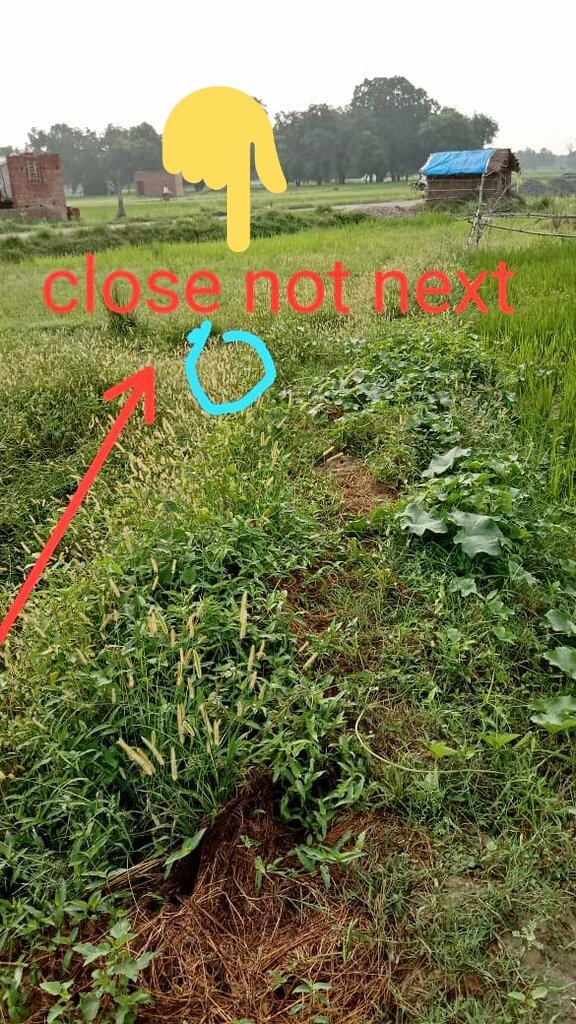 PythoncodeE's tweet image. UP Government all officer not proper work This is a not fire
AMETHI CHHEPUR GAM
 NAHER BLOKE