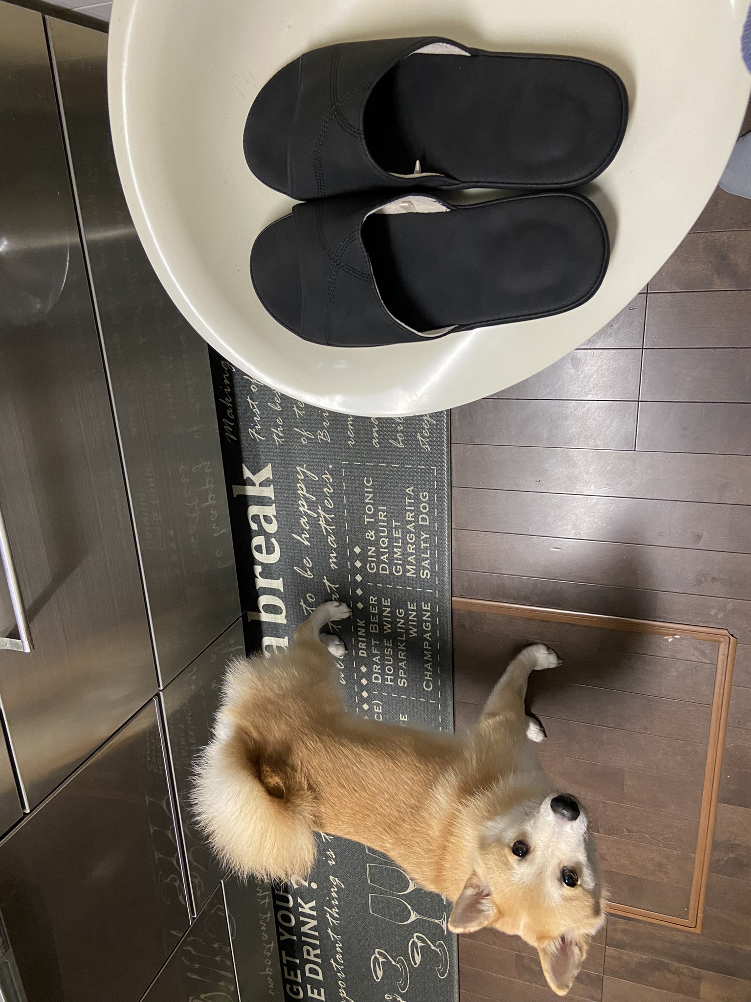 スリッパ破壊 Twitter Search Twitter