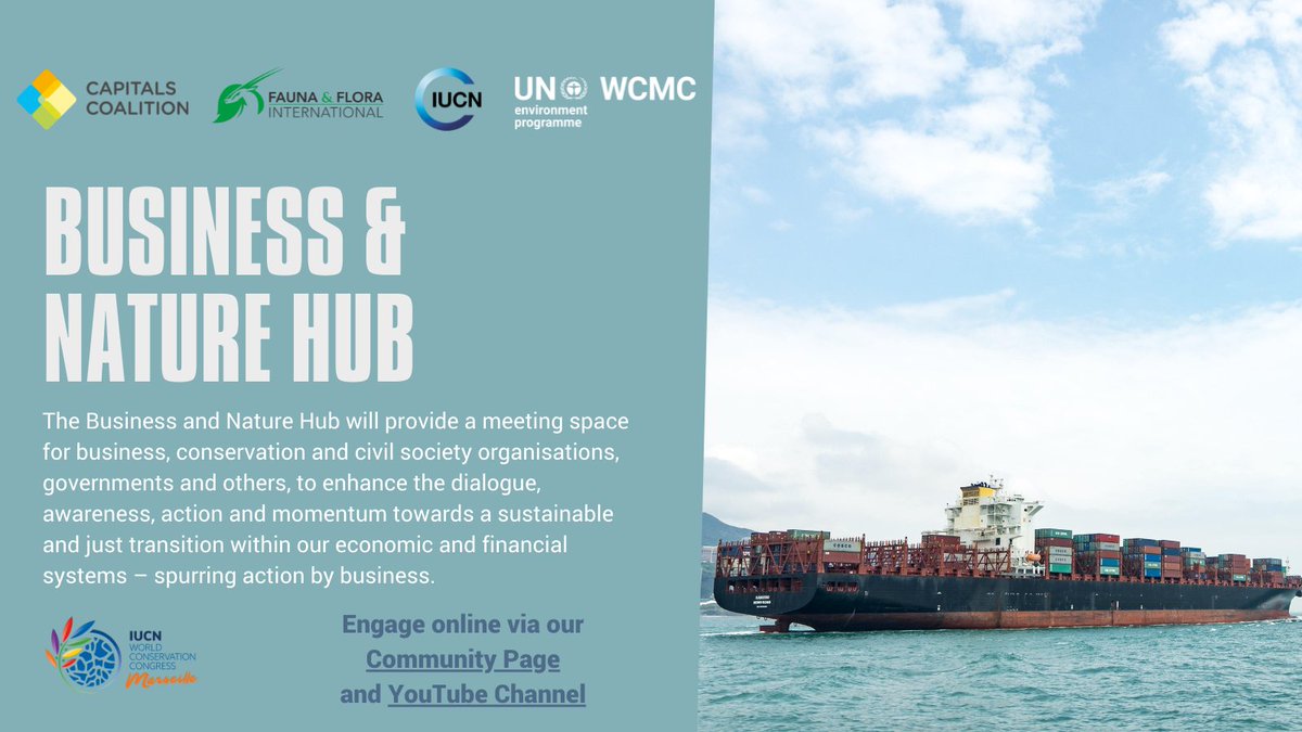 leo_murphy13's tweet photo. Harrison Ford at #IUCNcongress said "We're ambitious for perfect solutions...but we dont have that luxury any more we've got to get to work" 
Join us to find out how companies have already started https://t.co/X7gxdv62ag @CapsCoalition @FaunaFloraInt @unepwcmc @IUCN_business https://t.co/IqeQ66RRRn