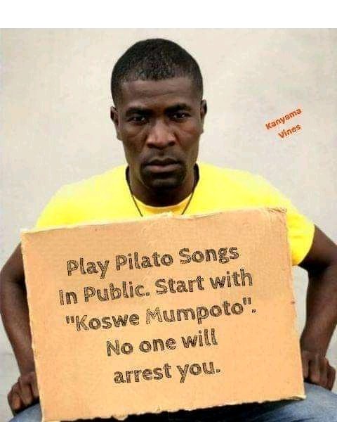 Mr Sumbody (@StewardChibuye2) / Posts / X
