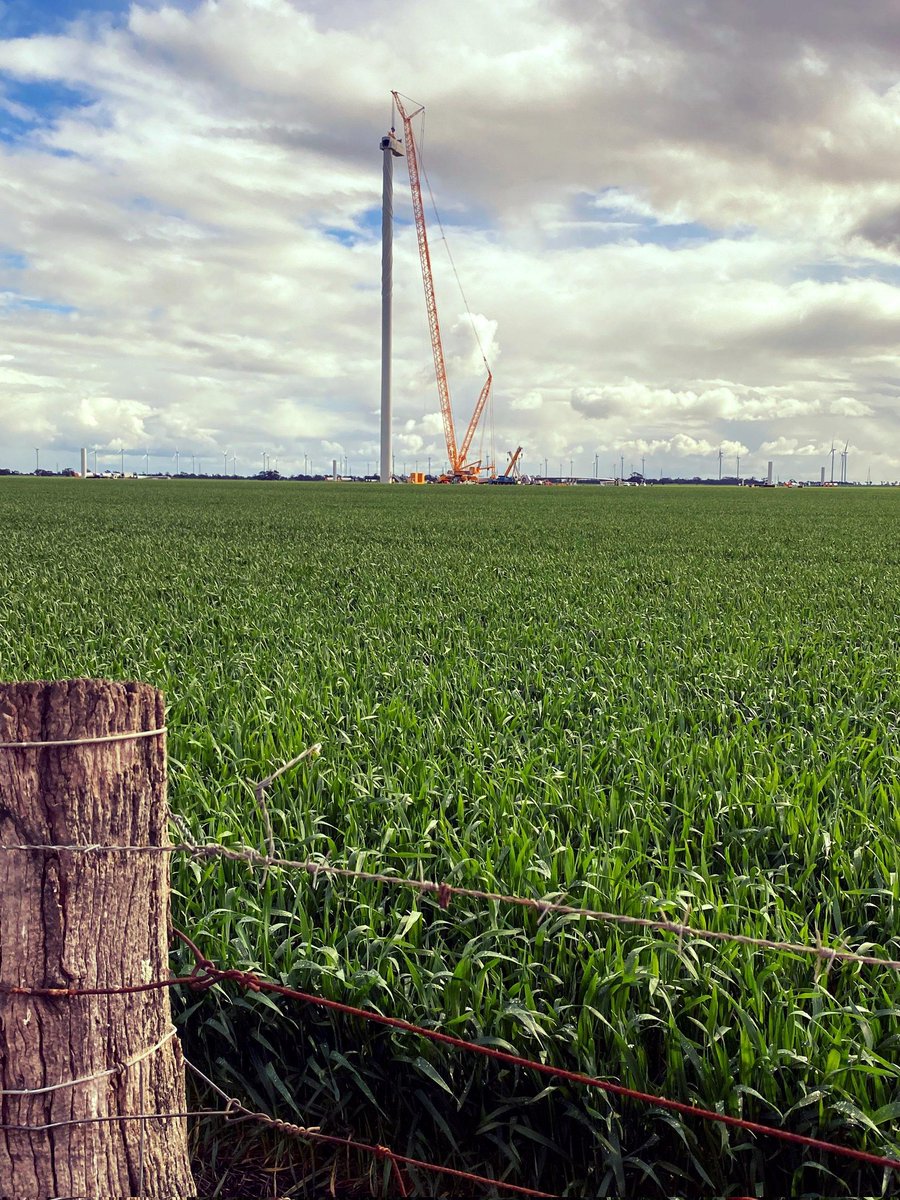 And just like that...we have a nacelle. And a ripping wheat crop to boot!
#fieldsofgold #renewables <a href="/VFFGrains/">VFFGrains</a> <a href="/CaraHadzig/">Cara Hadzig</a> @GErenewables #thankscara