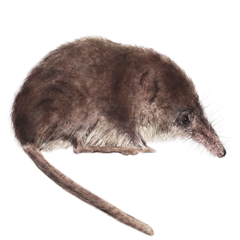 Jill Meager Jillmeager Twitter