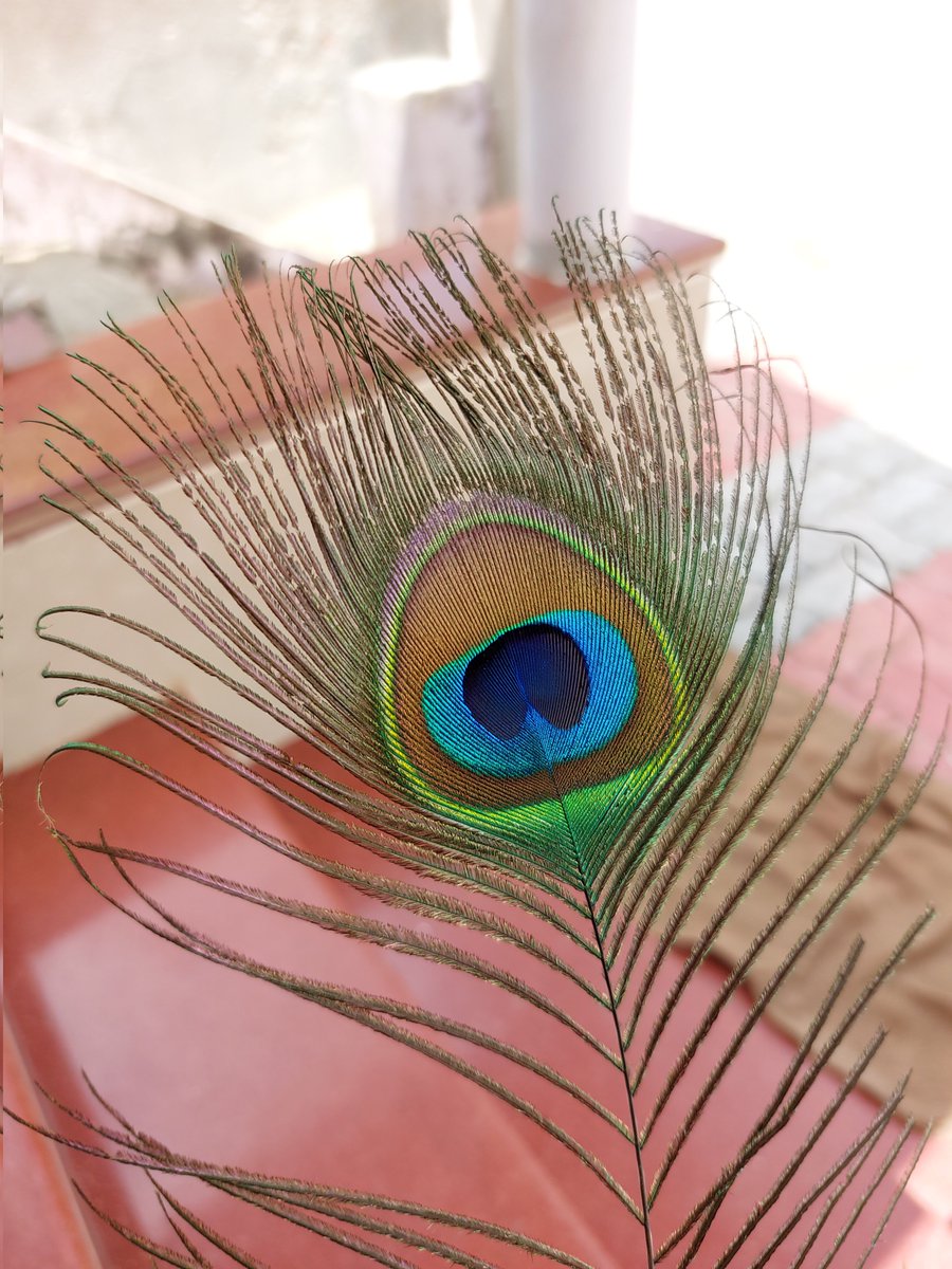 PratipalsinhjiV's tweet image. #SamsungA52s #Samsung #samsungindia #shotonsamsung