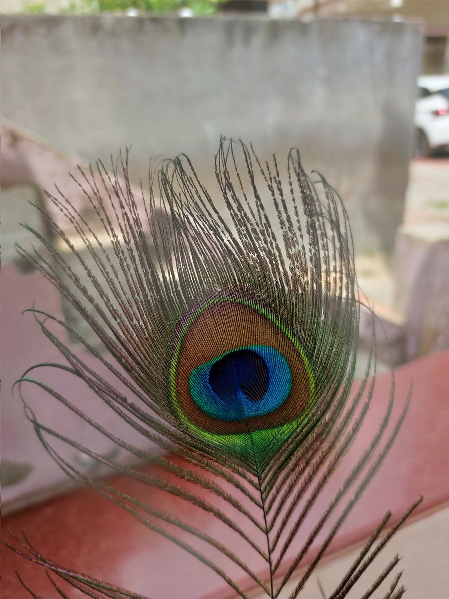 PratipalsinhjiV's tweet image. #SamsungA52s #Samsung #samsungindia #shotonsamsung