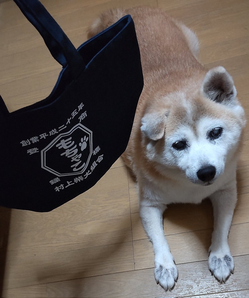 mochako0517's tweet photo. 名入れ雑貨店の❲pastel yellow❳ @pastelyellow_w 様のプレゼントキャンペーンで当選したトートバッグが届きました♪♪
素敵なバッグありがとうございました。♪♪ https://t.co/gFQy4PCvXG