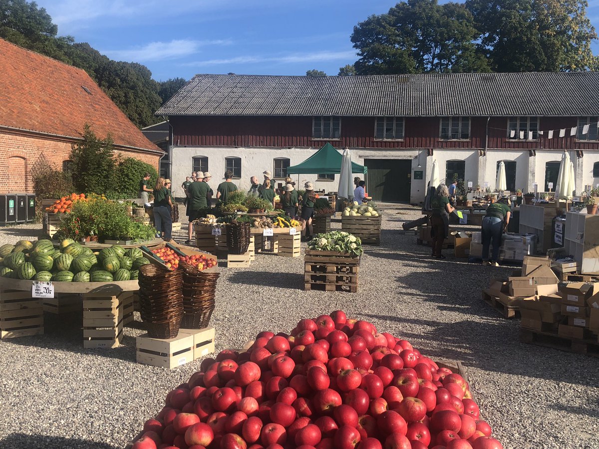 Aarstiderne tweet media