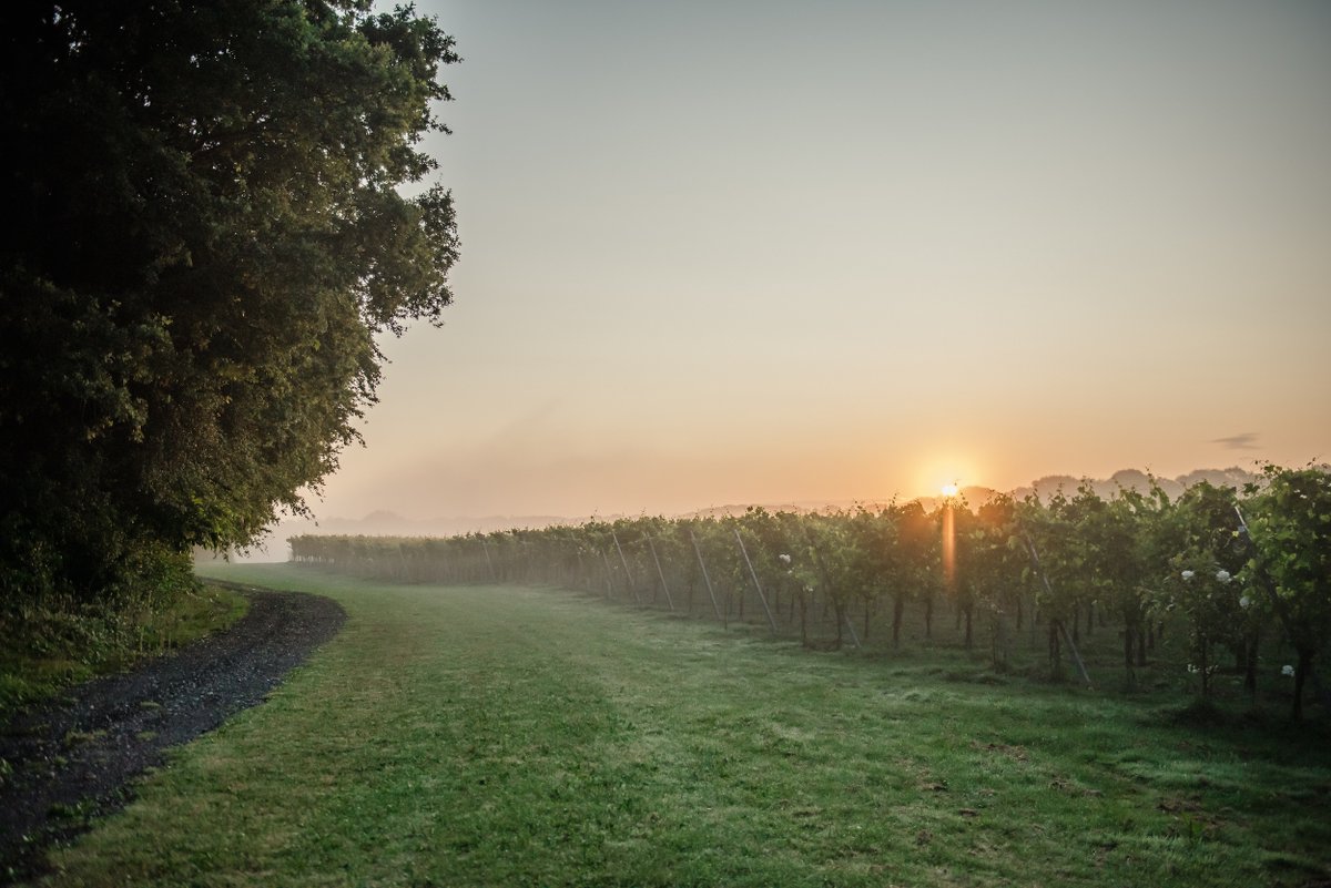VisitKent's tweet photo. Whether your autumn staycation plans have you dreaming of autumn walks, cosy pubs, or fantastic food and drink, allow us to share some of Kentโs best loved fall locations, and a few hidden gems along the way. https://t.co/vKSpXE67DI #WelcomebacktoKent https://t.co/uxwKUtvRgU
