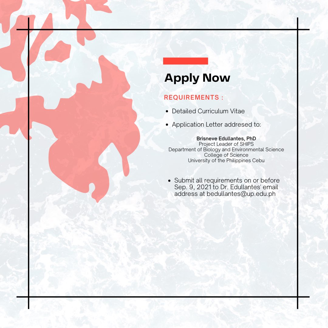 project_ships's tweet photo. #ProjectSHIPS, a @dostpcieerd funded project under @UPCebuOfficial, is in need of the following:

👩🏻‍💻 Two (2) Science Research Specialists I
🧑🏻‍💻 One (1) Project Assistant II 

If you are interested, kindly send your application requirements to @brisneve   bedullantes@up.edu.ph. https://t.co/YQ1BhUNAMh