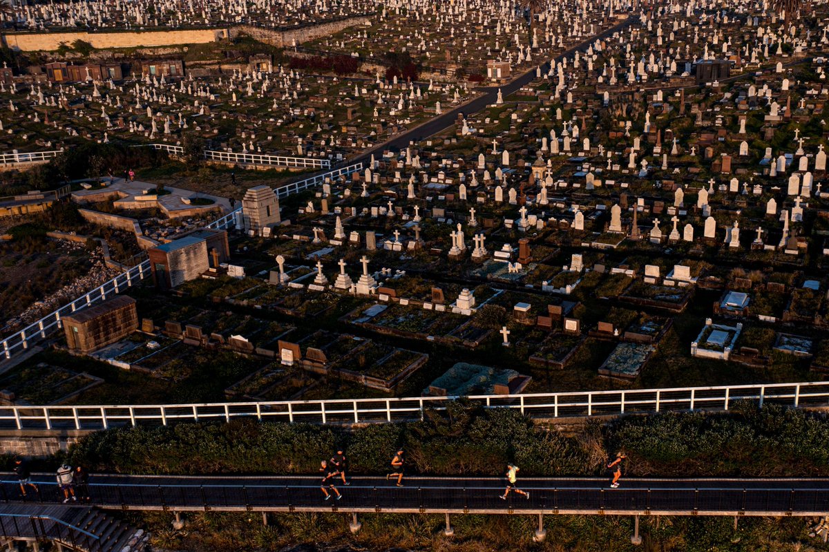 SMH Photography tweet media