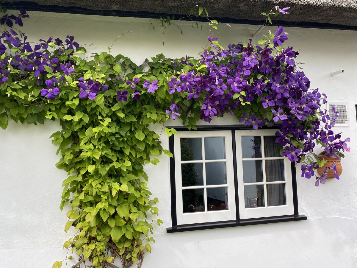 excelltimberwin's tweet photo. #Stilllookinggood after its 1st-year #annual service by @excelltimberwin @GeorgeBarnsdale #dual finish #timberwindows https://t.co/1ZIuUhdGMR