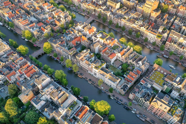 khun101010's tweet photo. Amsterdam อาจไม่ได้มีสวนสาธารณะ​มาก อัตรา​พื้นที่​สี​เขียว​ไม่ถึง 15% แต่เขาแก้ด้วยการปลูกต้นไม้ข้างทางให้มากที่สุด มันไม่เพียงแต่ให้ความสวยงาม แต่สามารถดูดซับ CO2 ลดปัญหา PM2.5​ เพิ่มความหลากหลายทางชีวภาพในเมือง ทำให้อากาศเย็นลง และมีบทบาทสำคัญในการป้องกันน้ำท่วม https://t.co/fNEukObNEf