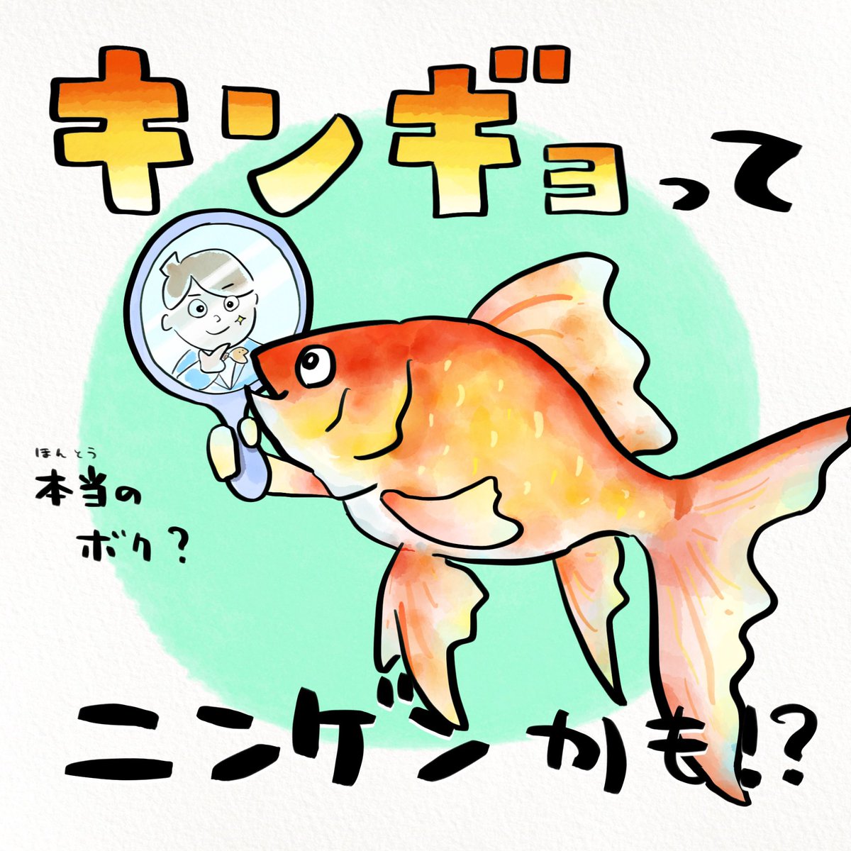 金魚は思春期になるとニキビできる 