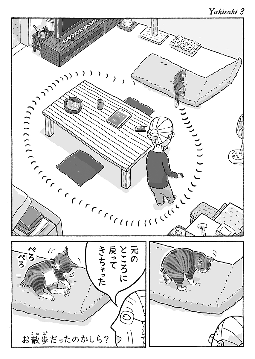 3ページ猫漫画「行き先はどちらまで」 #猫の菊ちゃん 