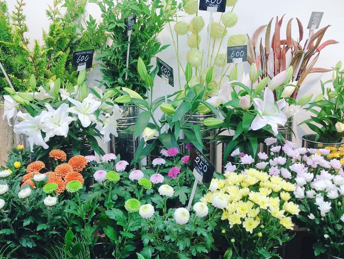 黒沢生花店 Kurosawaflower Twitter 黒沢生花店 Kurosawaflower Twitter