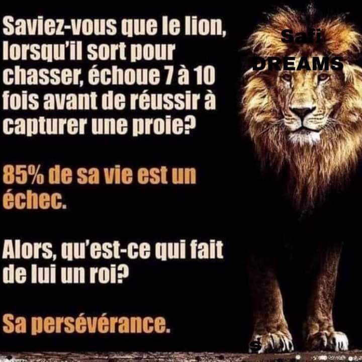 MAKUALAErick1's tweet photo. " La persévérance est la noblesse de l'obstination " ( Adrien Decourcelle )
Bon weekend à tous ! https://t.co/xgydGxCQ84