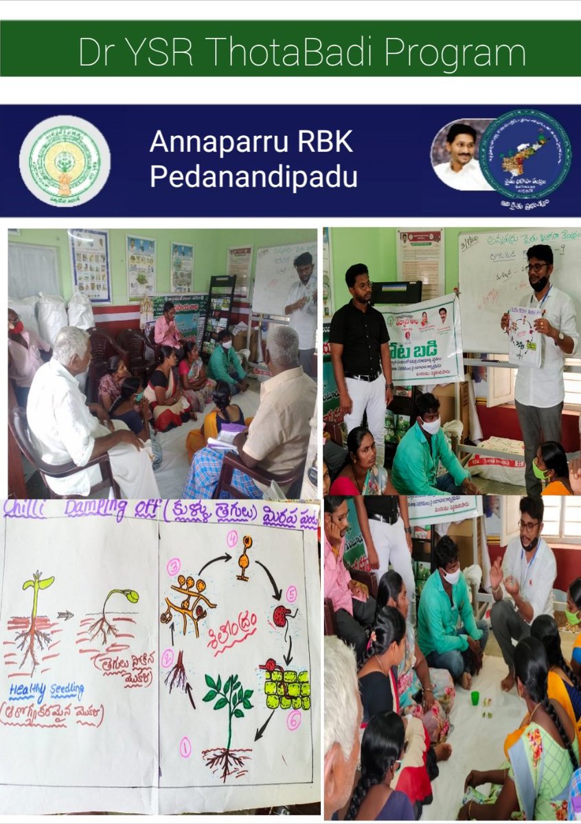 kannaparru's tweet photo. #Dr_YSR_Thotabadi Program facilitated for the participent Farmers.
Field level awareness on current management practices to be fallowed.
How to distinguish b/w a disease &amp; nutrient deficiency symptom at field level. @ap_agriculture @APZBNF @CollectorGuntr @NFCoalition @FAO https://t.co/0bzHQNsOwS