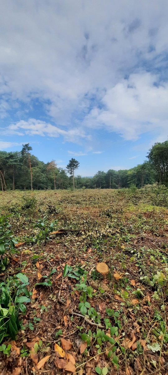 GroupeEcoloMRN's tweet image. 😡 Nous sommes présent-es au rassemblement à #Cléon suite à la destruction de 2ha de forêt pour un projet immobilier. Le #BoisdesBrulins doit être le dernier victime des politiques court-termistes. Nous demandons une révision du PLUI pour atteindre la #ZeroArtificialisation ⛔